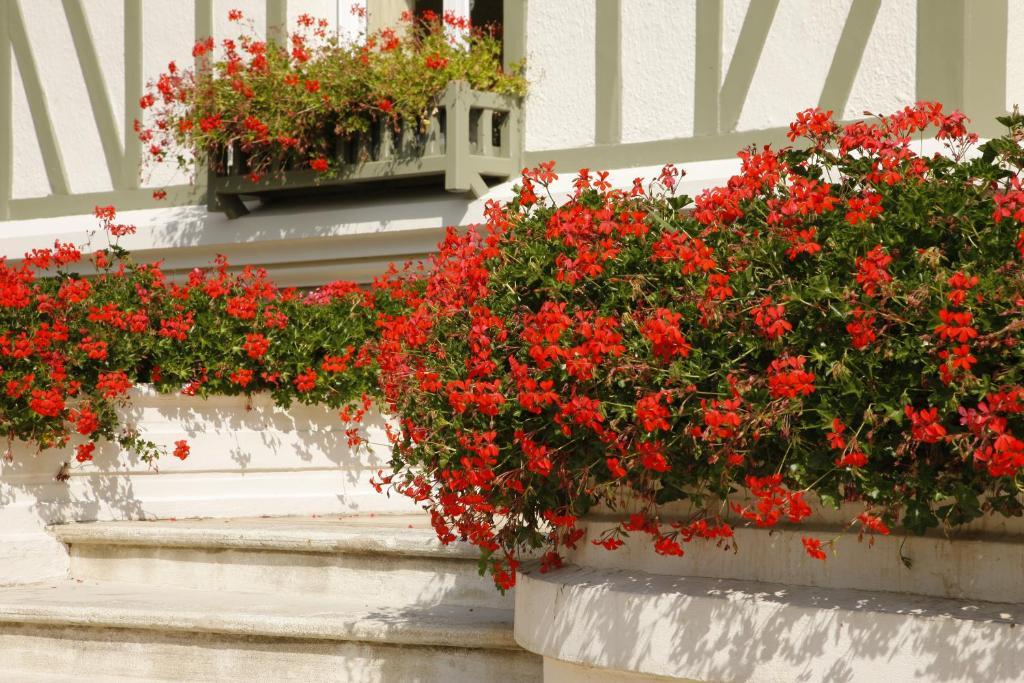Manoir De Benerville Bed & Breakfast Deauville Eksteriør bilde